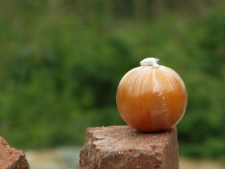 DSCF2711.jpg