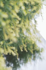 9D19559D-F2FB-4DC6-B669-7CD83D373473/L0/001