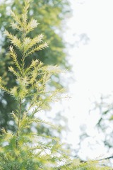 E6578E07-58AC-4820-A473-6729E3DE2C5B/L0/001