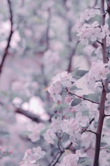 EC493091-7380-4B1A-8B36-EA31ADABB46A/L0/001