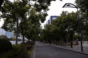 DSC_0589-8.jpg
