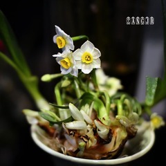 DSC_0636-1小.jpg
