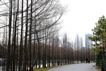 DSC_1111-1.jpg