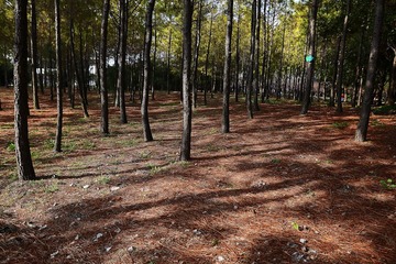 DSC_1113-1.jpg