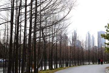 DSC_1111-1.jpg