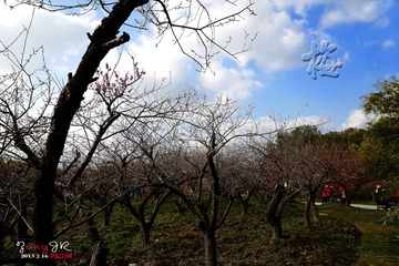 DSC_1136-8.jpg
