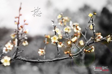 DSC_1147-8.jpg