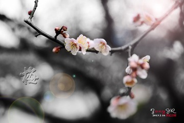DSC_1187-8.jpg