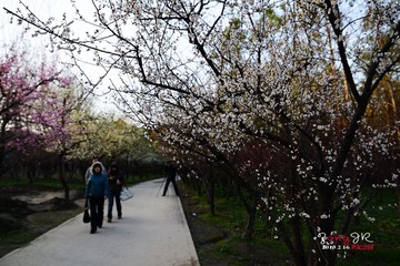 DSC_1251-8.jpg