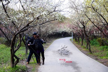 DSC_1256-8.jpg