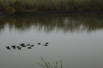 DSC_2493-1.jpg