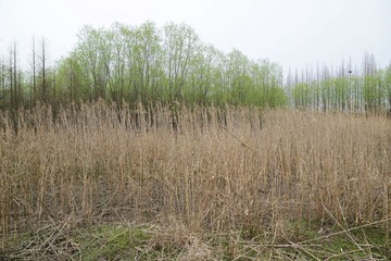 DSC_2501-1.jpg