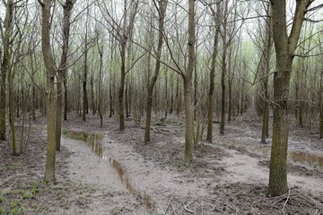 DSC_2519-1.jpg