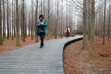 DSC_2540-1.jpg