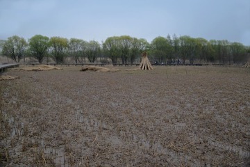 DSC_2637-1.jpg