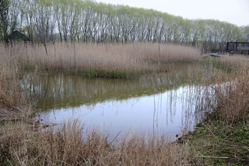 DSC_2645-1.jpg