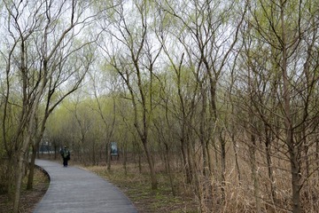 DSC_2654-1.jpg