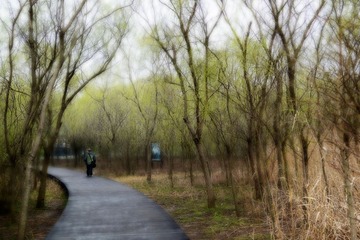 DSC_2654-1.jpg