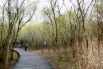 DSC_2654-1.jpg