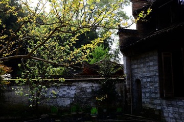 DSC_3821-2.jpg