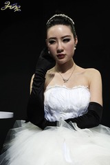 DSC_7350-8.jpg