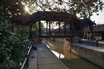 DSC_1422-8