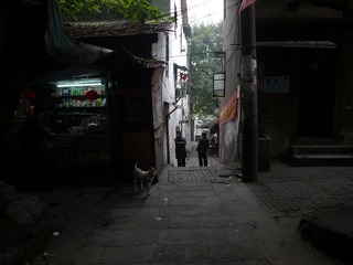 L1080428.JPG