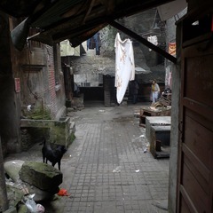 L1080531.JPG