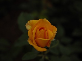 594634