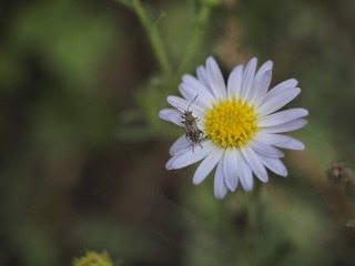 594633
