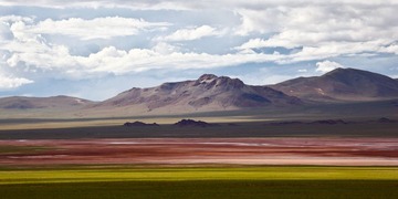 _MG_7725