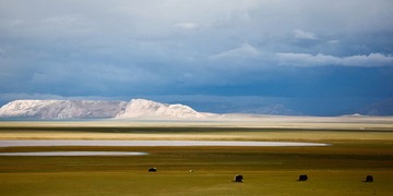 _MG_7584