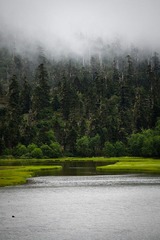_MG_6956