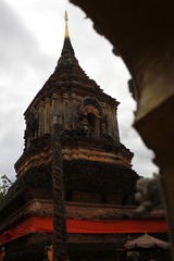 _MG_1286