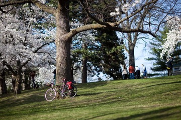 _MG_1296