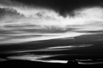 20090617-_MG_0037
