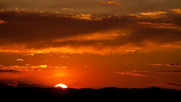 _MG_7931-1