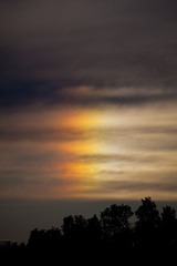 _MG_7910-1