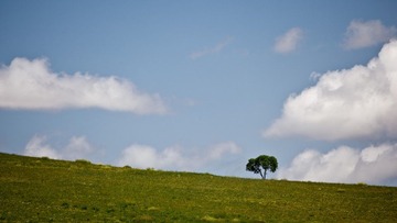 _MG_7400-1