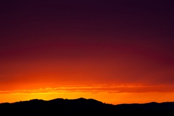 _MG_1515-1