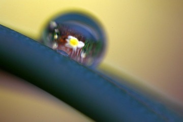 DPP_0041