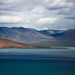 _MG_7464.jpg