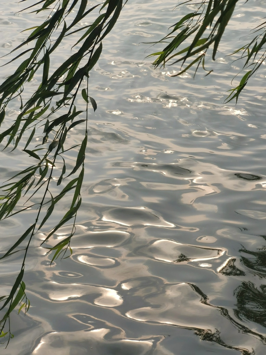 在水边消魂尤在水边清晓山际夕阳间录清人词句