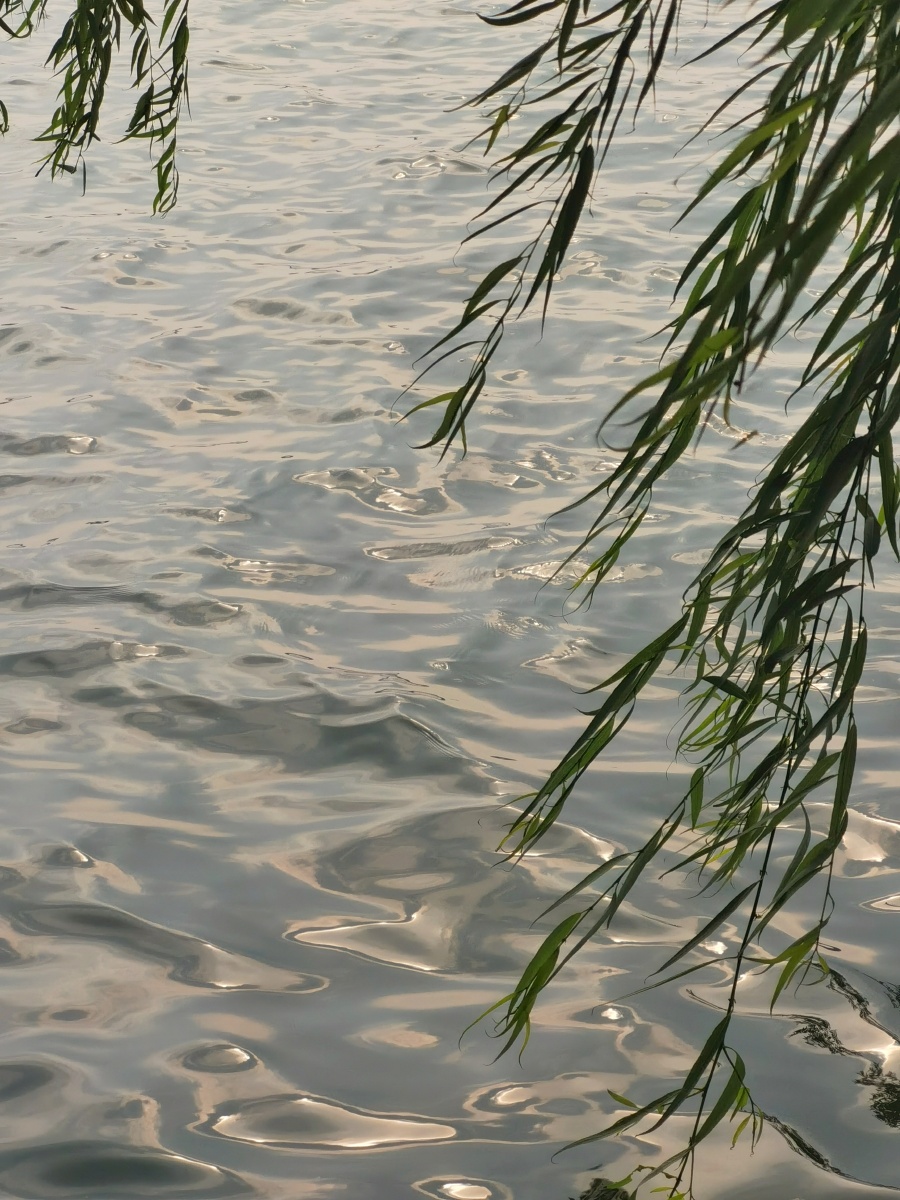 在水边消魂尤在水边清晓山际夕阳间录清人词句