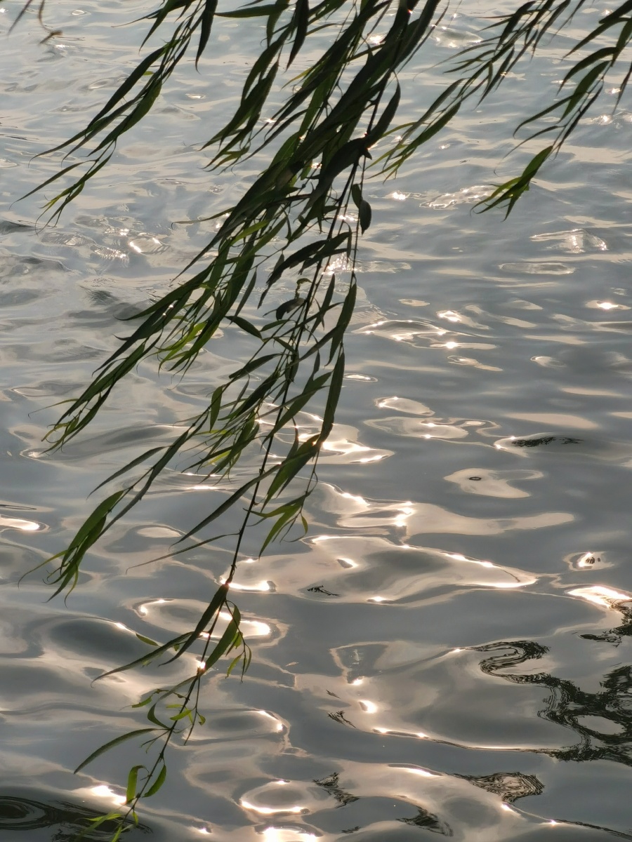 在水边消魂尤在水边清晓山际夕阳间录清人词句