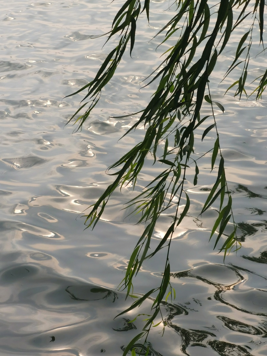 在水边消魂尤在水边清晓山际夕阳间录清人词句