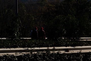 DSCN4629