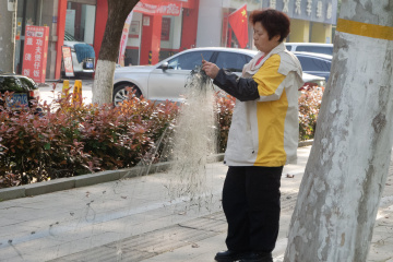DSCN5587
