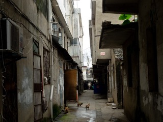 DSCN5061
