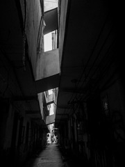 DSCN5047